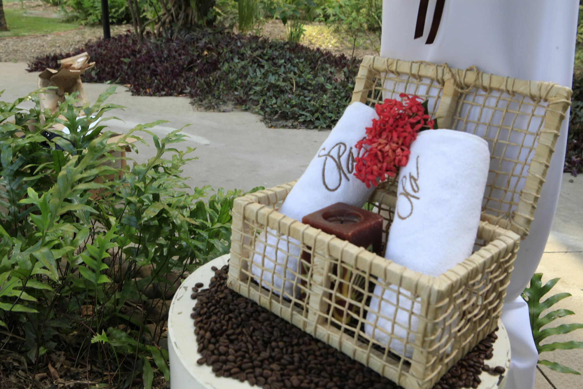 Buganvillas Hotel Suites Santa Cruz de La Sierra Ngoại thất bức ảnh